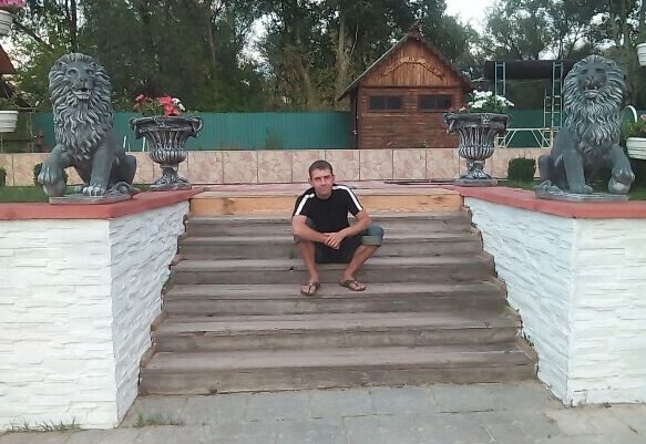  24975517  , 45 ,    