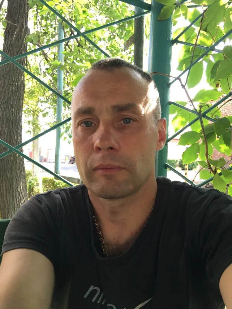  49582577  , 50 ,     
