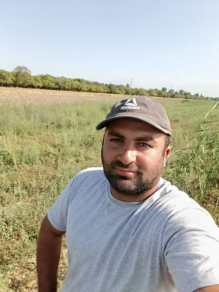 ���� 56222797 ������� �������, 31 ���, ���� ���������� � �������