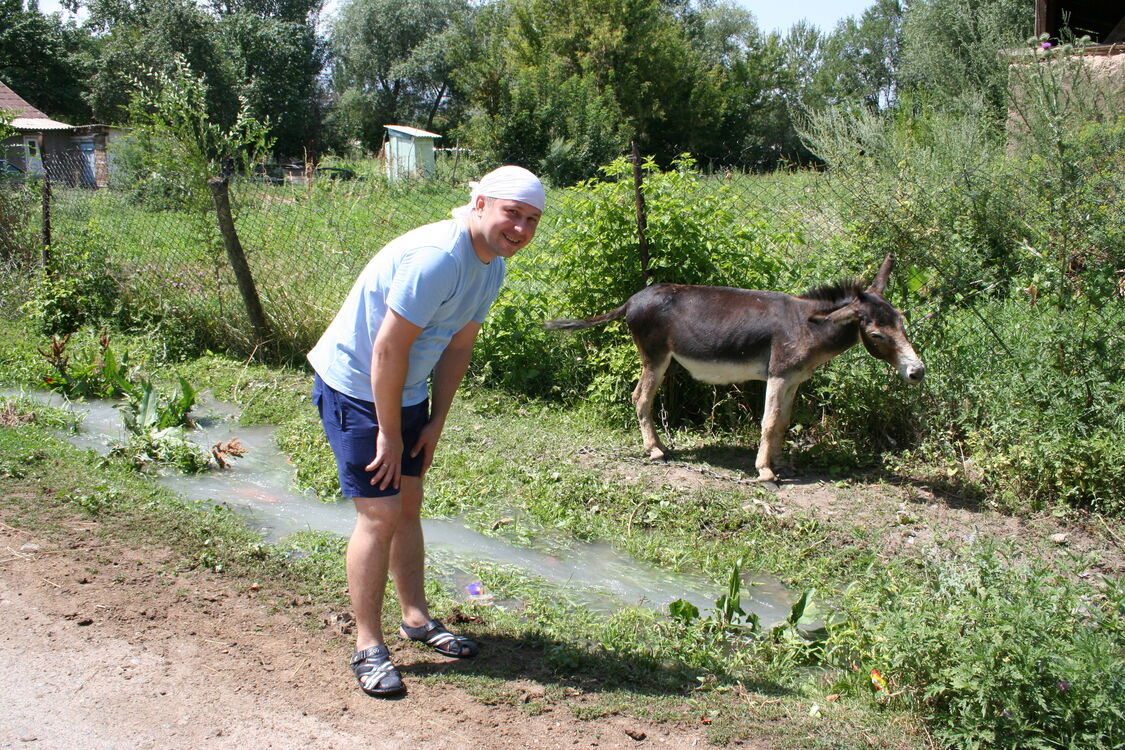 ���������� ������, ���� ������� �������, 46 ���, ������������ ��� ������, ����� � ���������