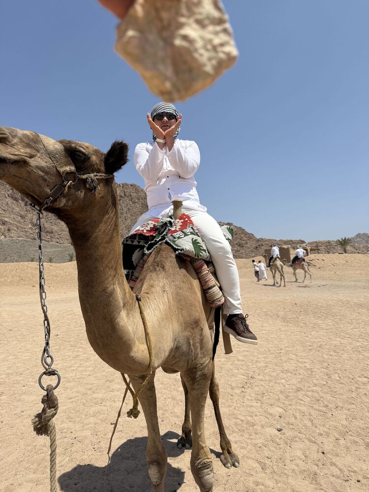 ���� 55123067 ����� �����, 25 ���, ���� ���������� � ��������