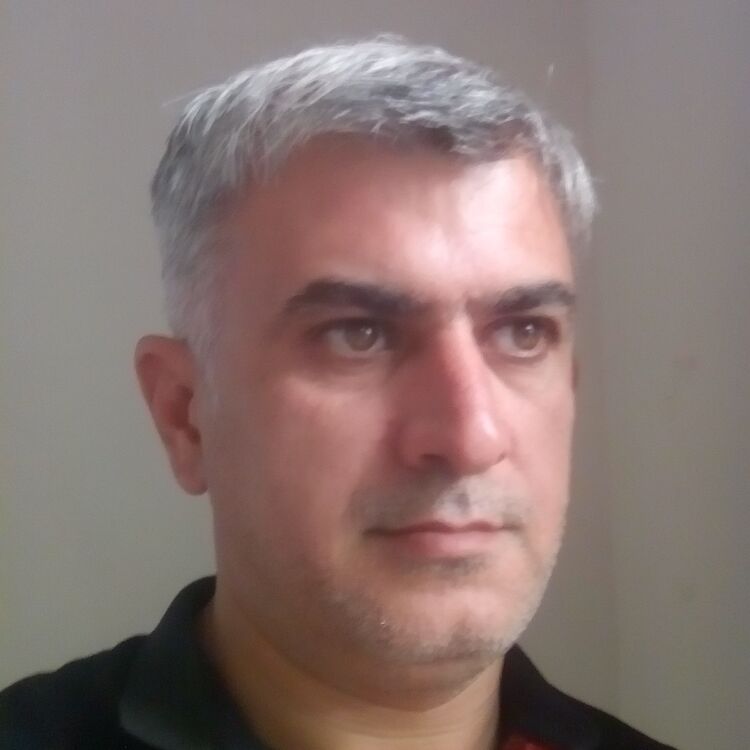  ,   Ramin, 47 ,   ,   , c 