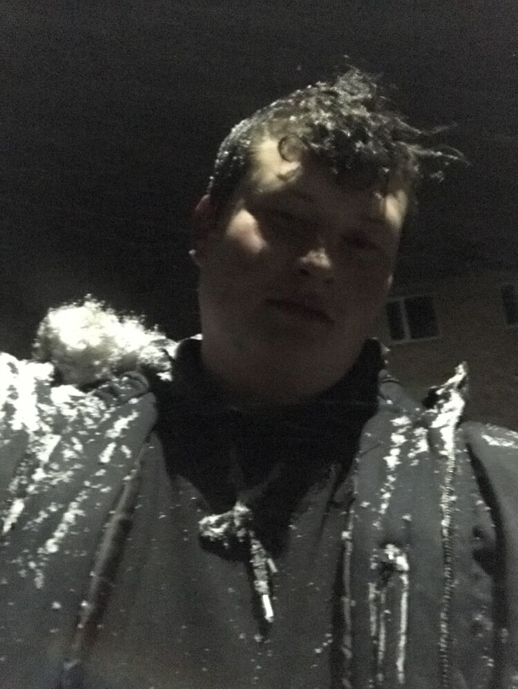 ���� 33394037 ������� ����, 31 ���, ���� ���������� � �����