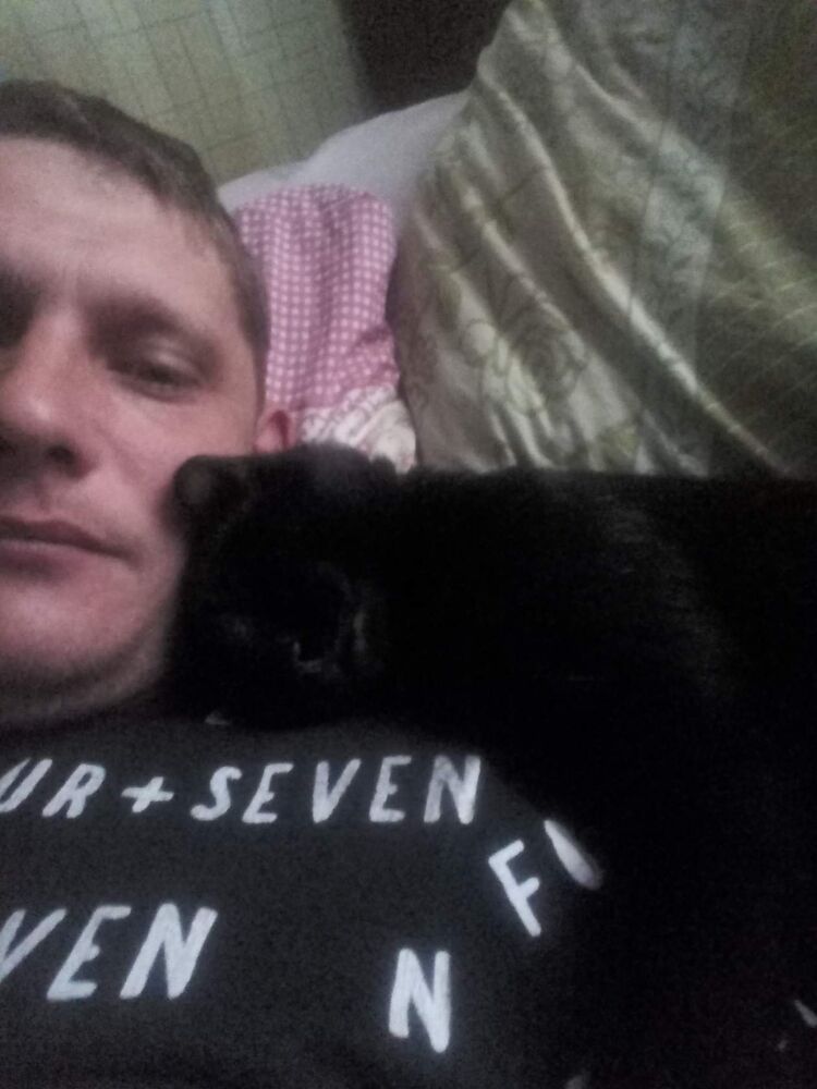 ���������� ���������� �����, ���� ������� ����������, 38 ���, ������������ ��� ������, ����� � ���������, c�������� ���������