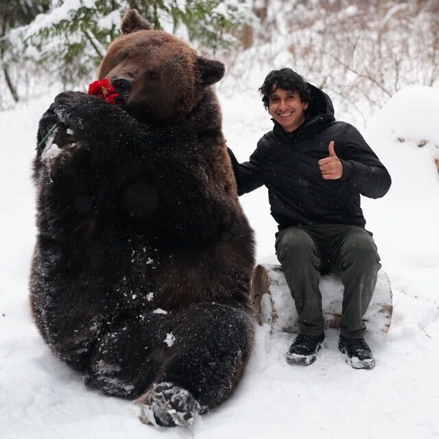 ���� 52329577 ������� ������, 30 ���, ���� ���������� � ������