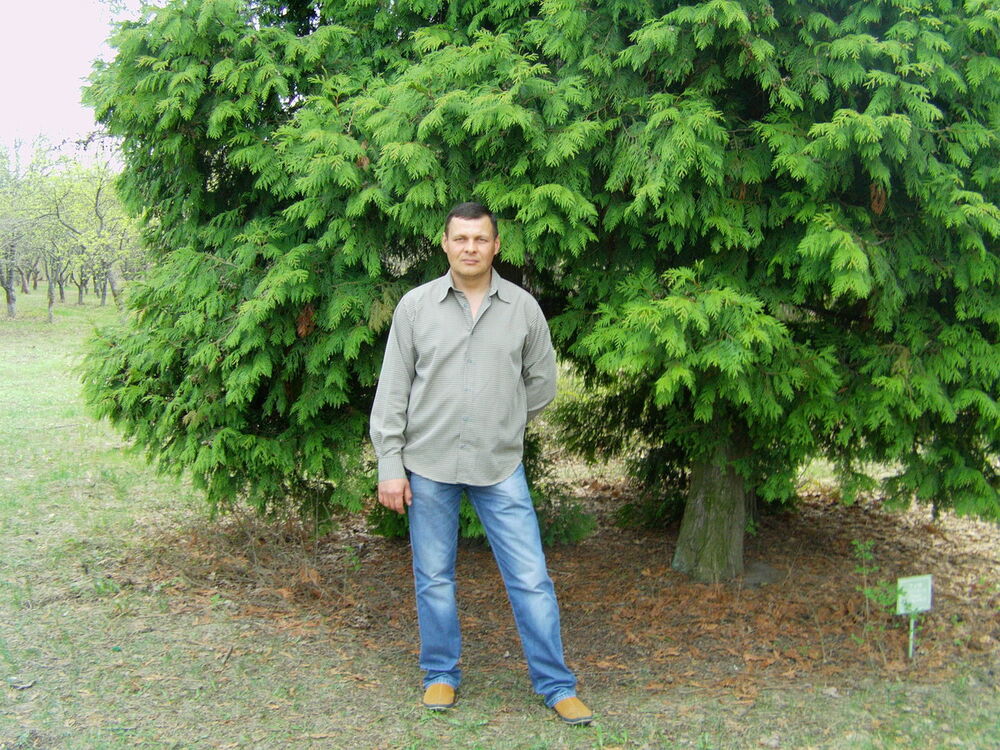 ���������� �������, ���� ������� Docunov, 51 ���, ������������ 