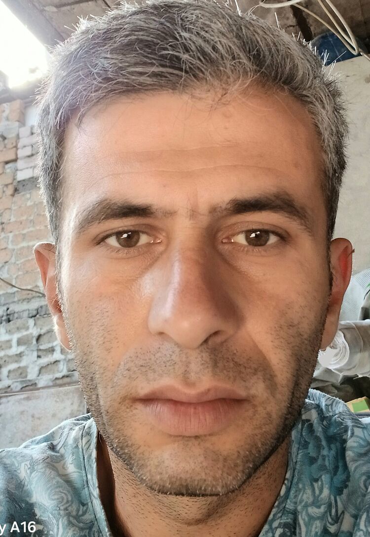  ,   Tigo, 31 ,   ,   