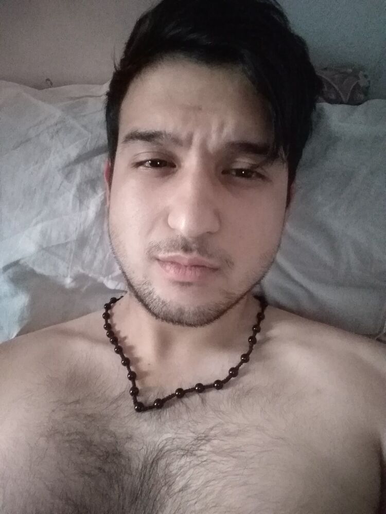  18375677  , 33 ,    -