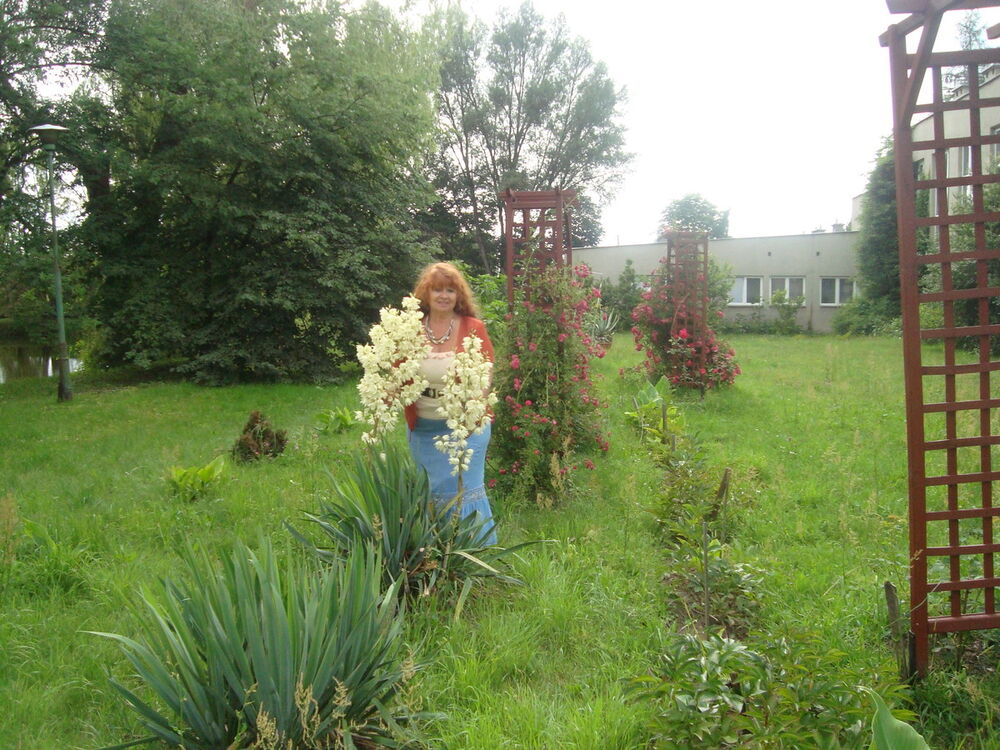  11231187  Dzenni, 62 ,    Jaroslaw