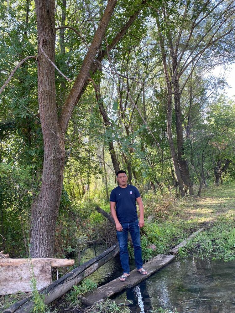 ���� 24384077 ������� ������, 40 ���, ���� ���������� � ������