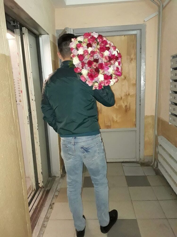  26441677  , 31 ,    