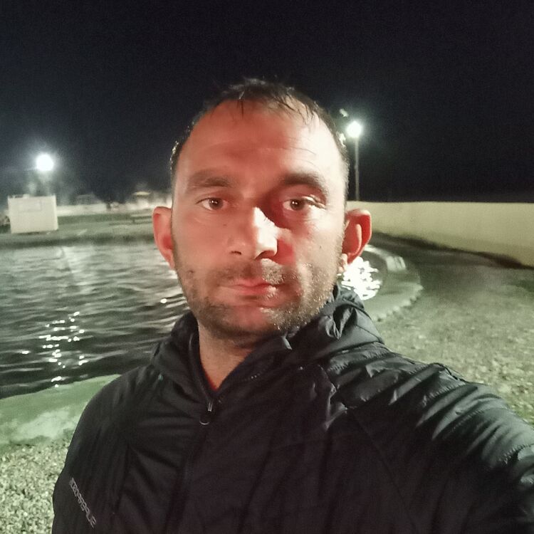  ,   , 37 ,   ,   , 