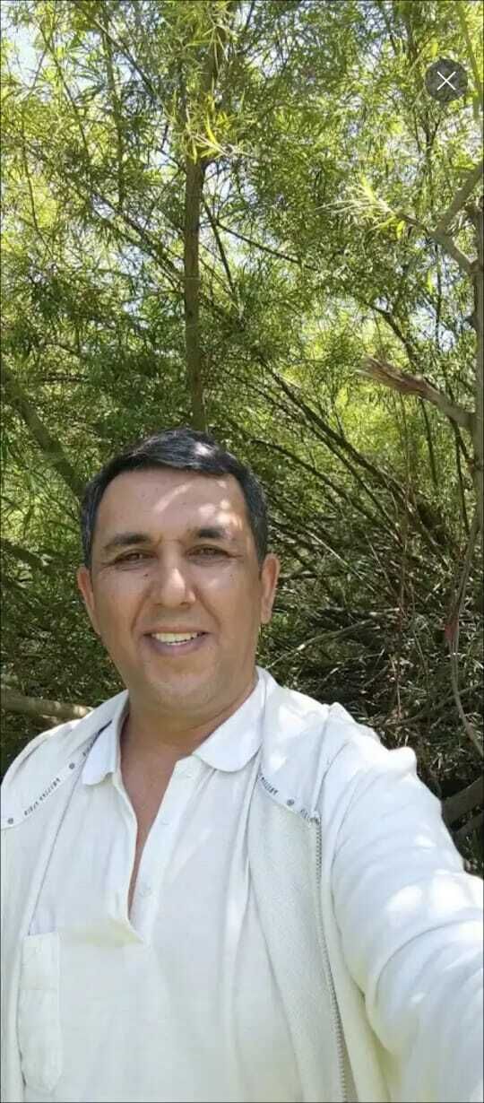 ���� 45608827 ������� ������, 45 ���, ���� ���������� � ������