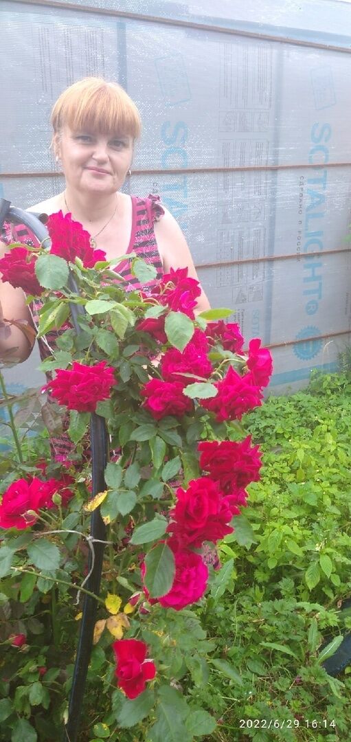 ���������� �����������, ���� ������� ��������, 49 ���, ������������ ��� ���������