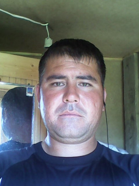  7865497  , 40 ,    