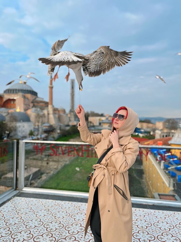 ���������� �����, ���� ������� �����, 38 ���, ������������ ��� c�������� ���������