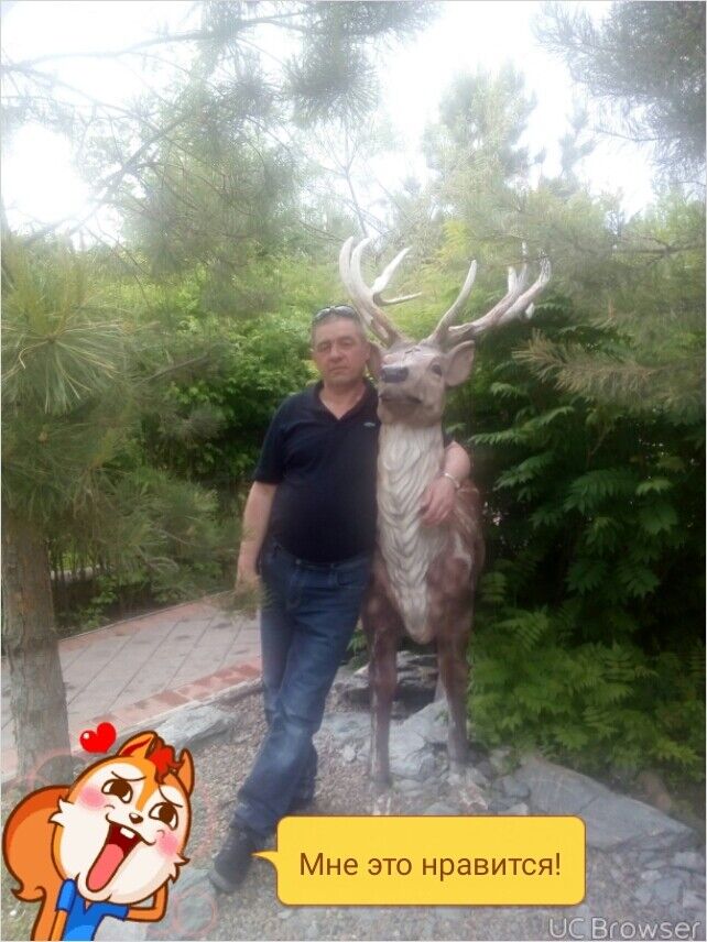  -,   , 53 ,   