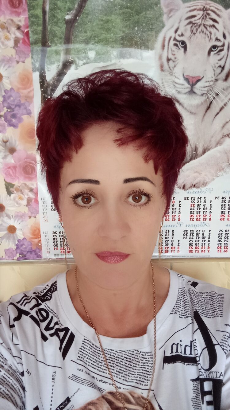  26637607  , 49 ,    