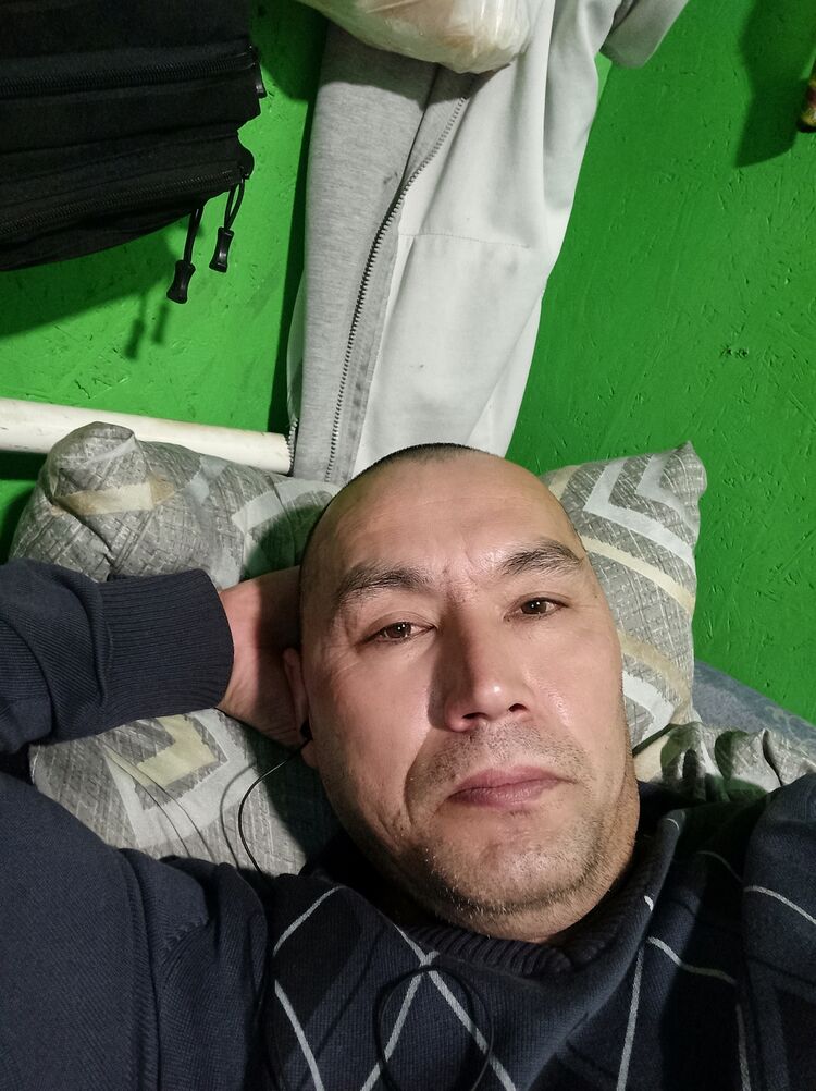  48281917  , 46 ,    