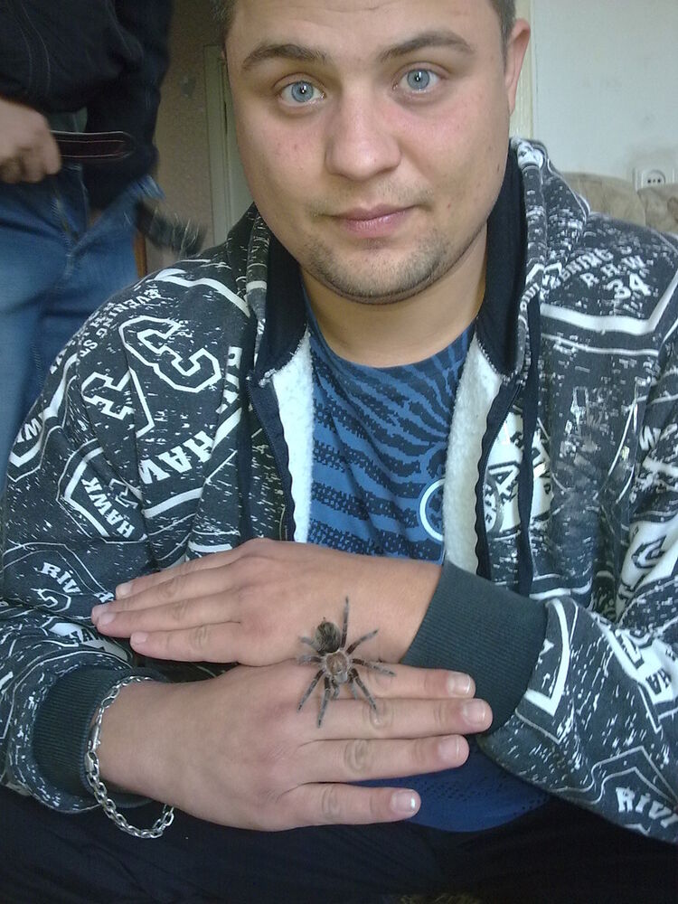  ,   Bosuj, 41 ,   ,   , c 