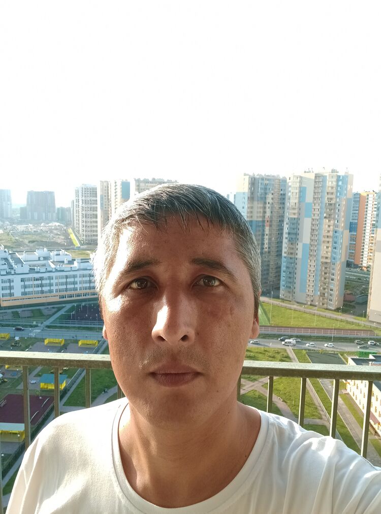  29455717  , 41 ,    -