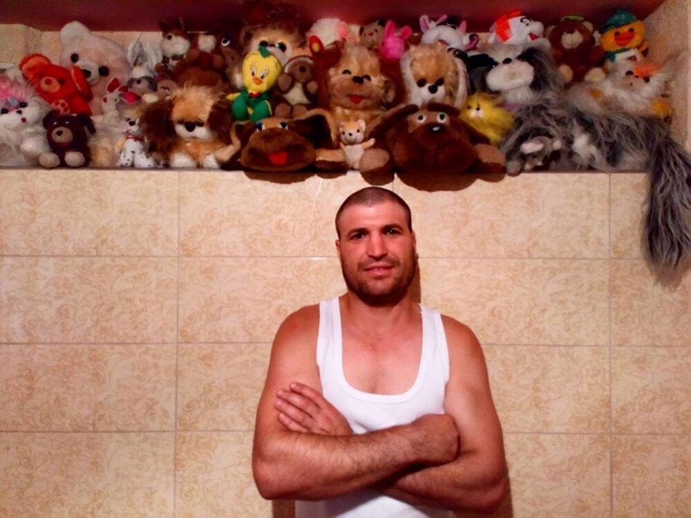 ���� 15877347 ������� ����, 39 ���, ���� ���������� � ��������