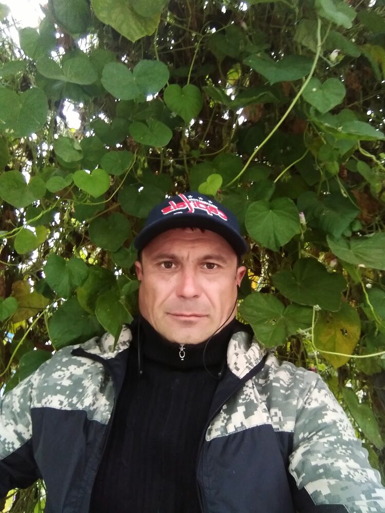  38812167  , 41 ,    
