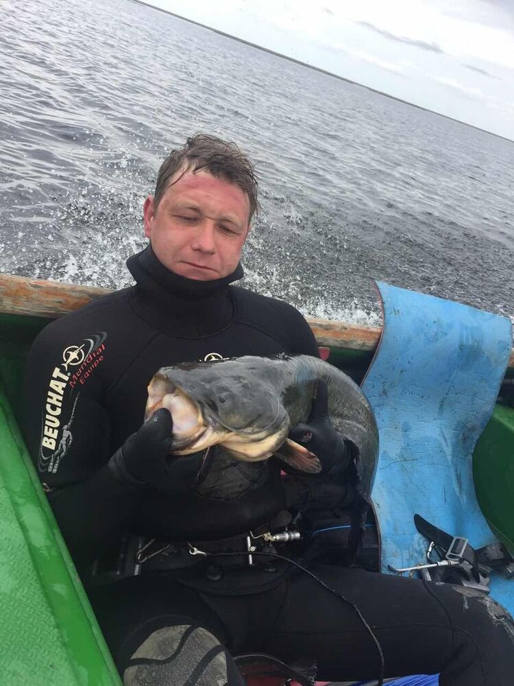 ���������� ��������, ���� ������� �������, 48 ���, ������������ ��� ������