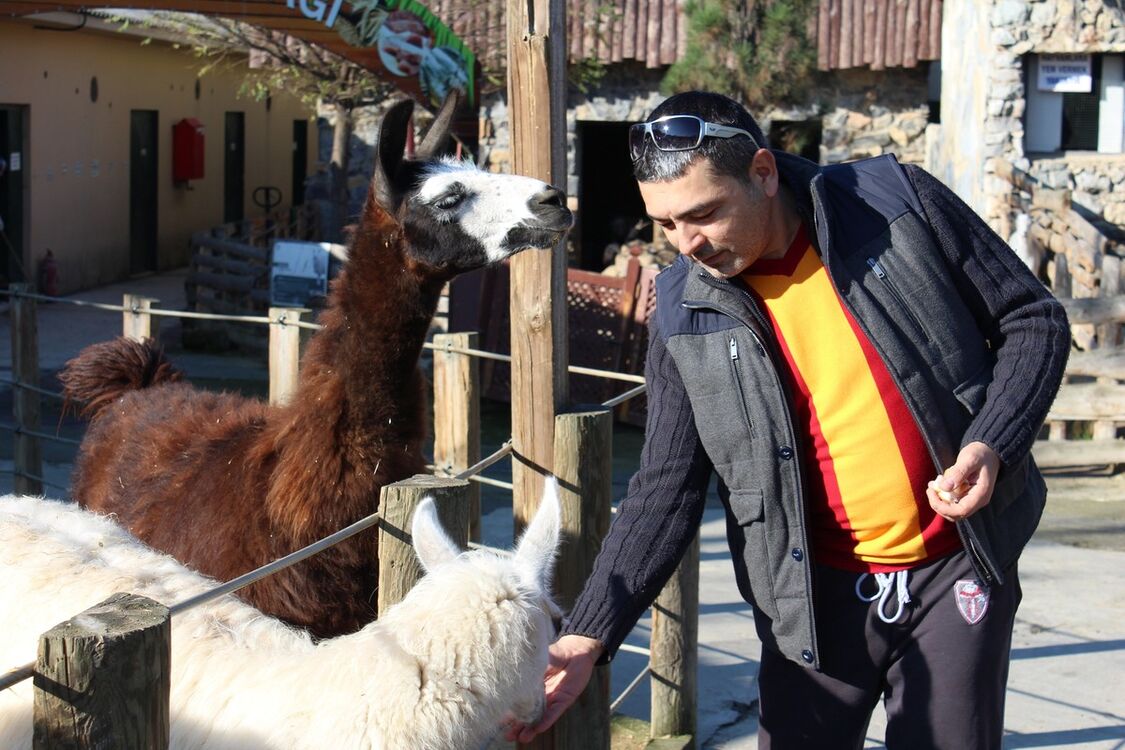  ,   Burak, 44 ,   ,   , c 