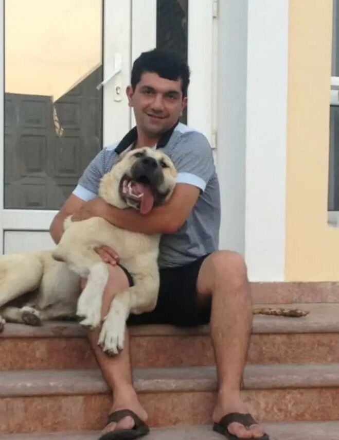 ���� 56041377 ������� ����, 38 ���, ���� ���������� � ����