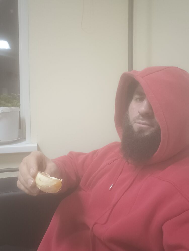  54433817  , 38 ,    -