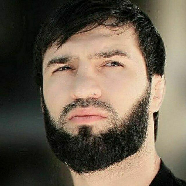 ���� 23944297 ������� Anvar, 28 ���, ���� ���������� � ����������