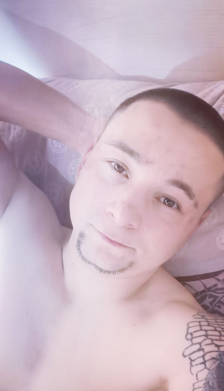  41076887  , 29 ,    