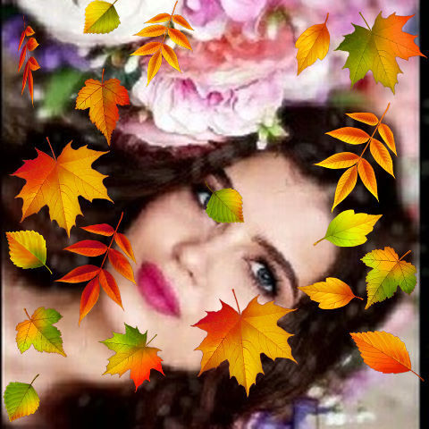  ,   , 66 ,   ,   