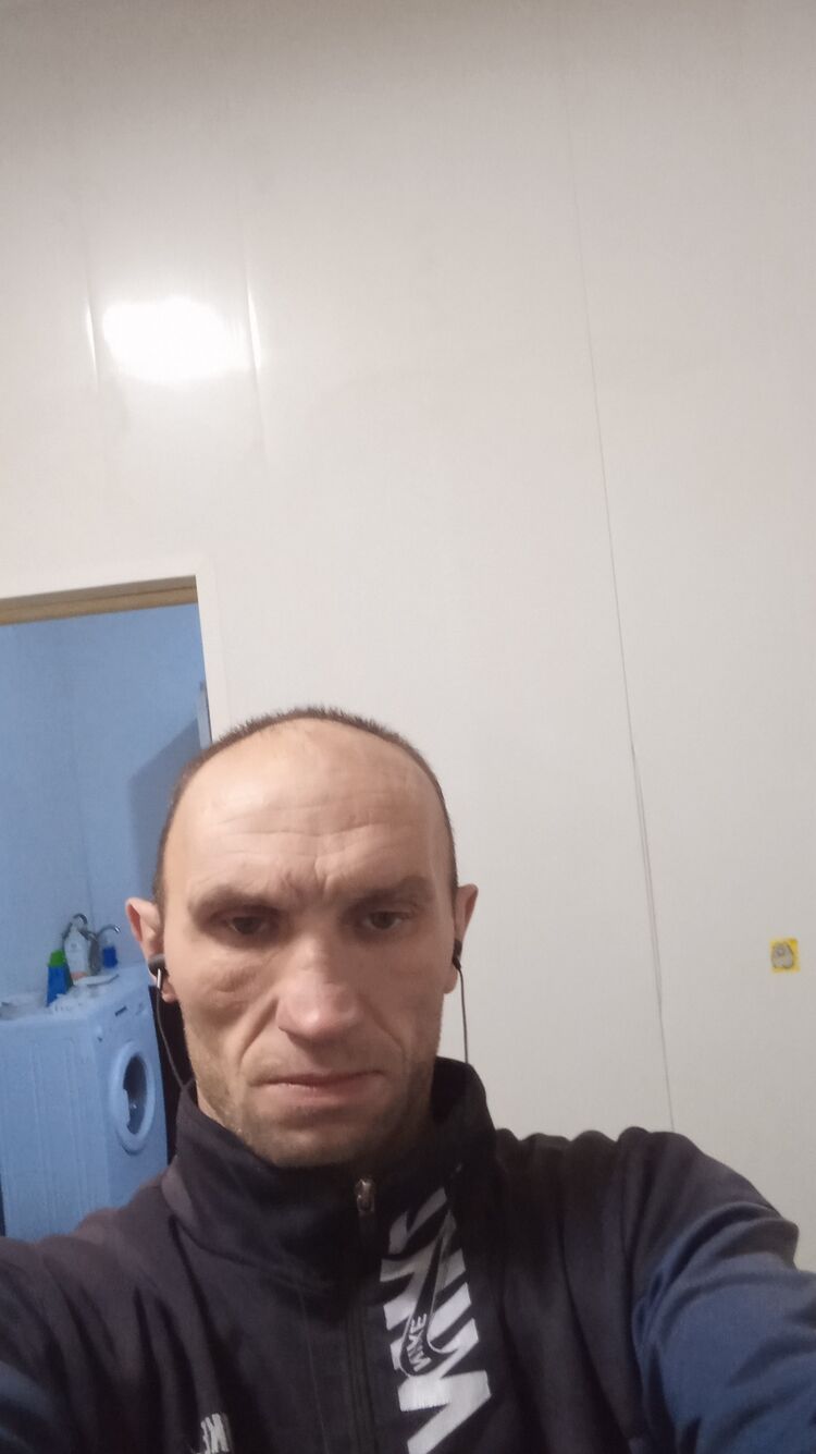  31394347  , 42 ,    