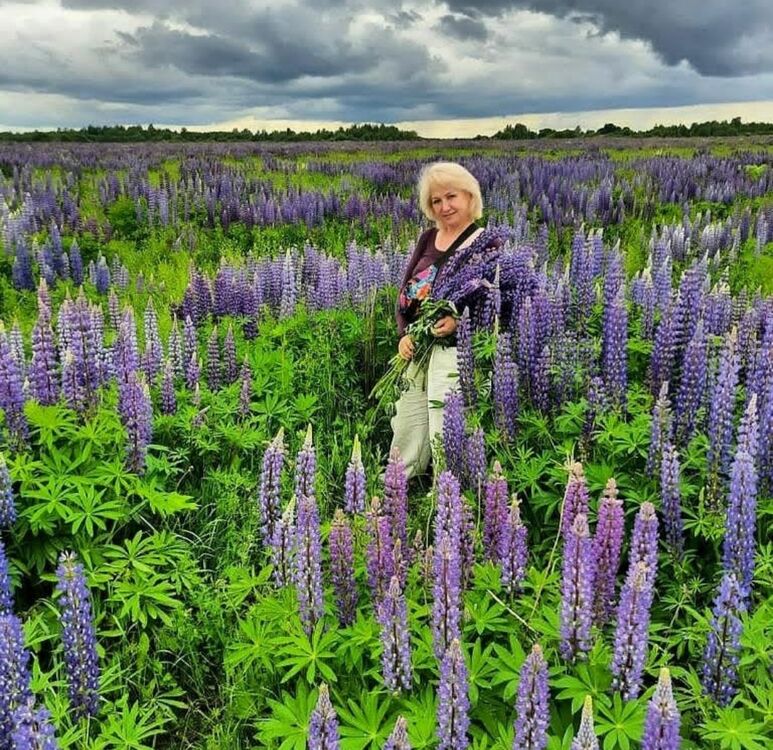  26721857  , 55 ,    -