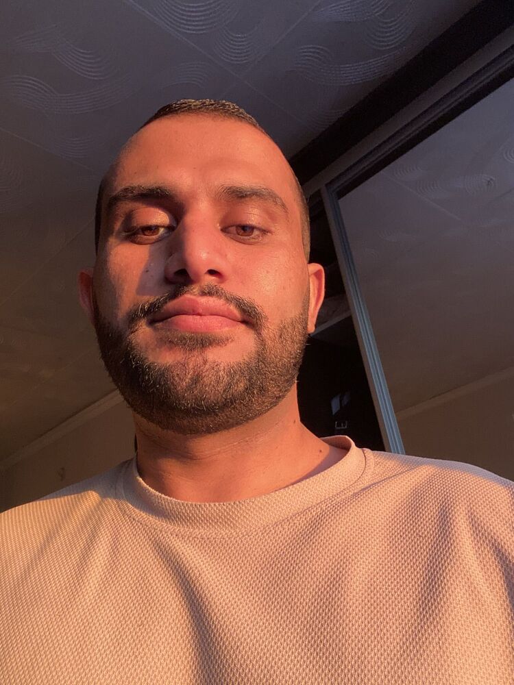  53137327  , 26 ,    