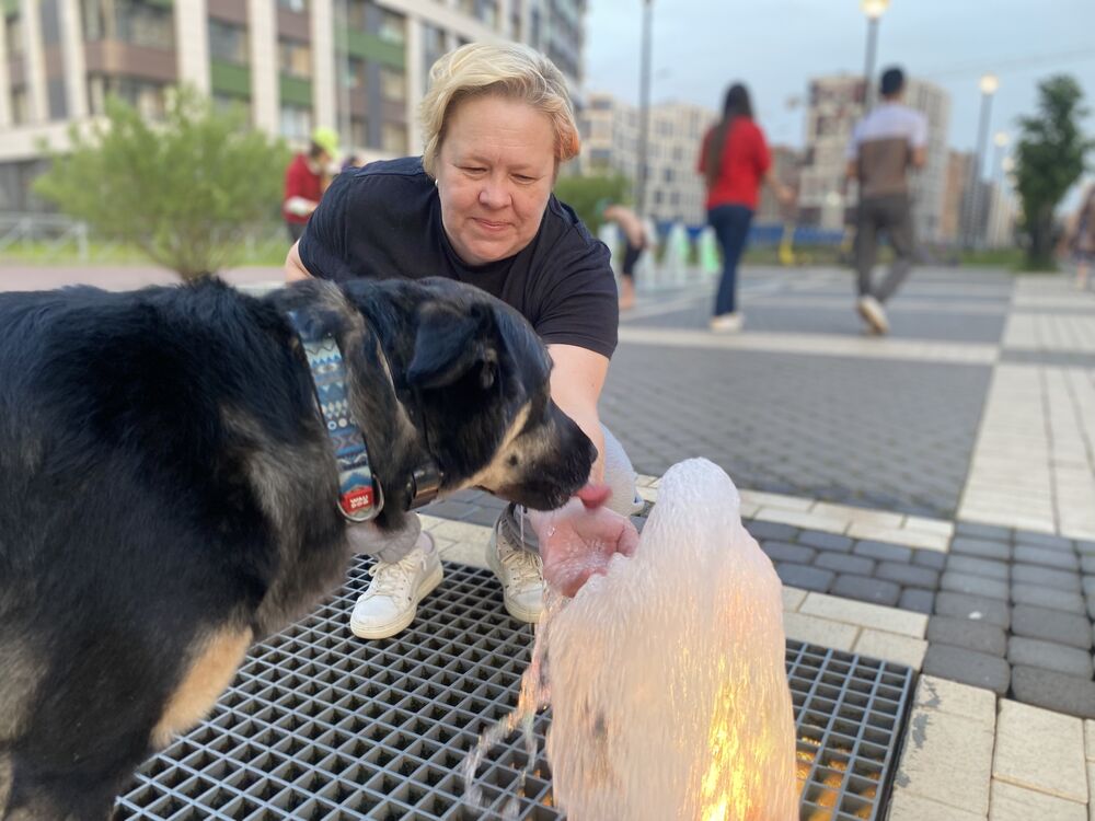  36905527  , 53 ,    -