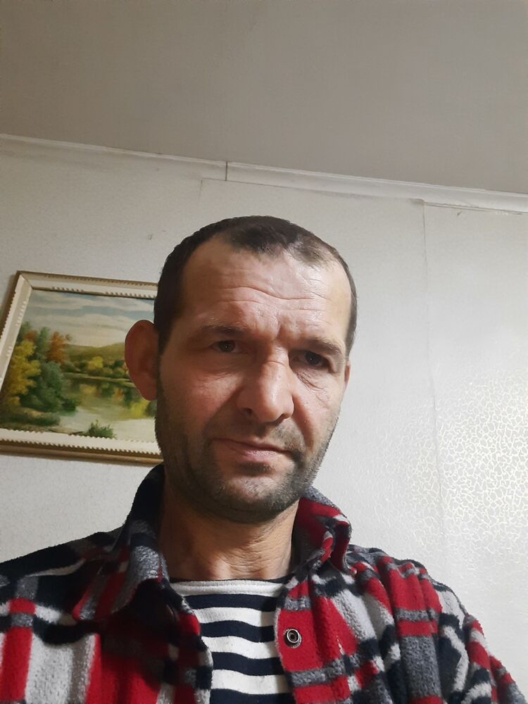  24581177  , 51 ,    