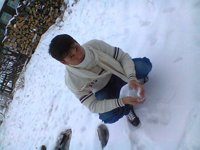 ���� 7338857 ������� TIMUR, 32 ����, ���� ���������� � ���������