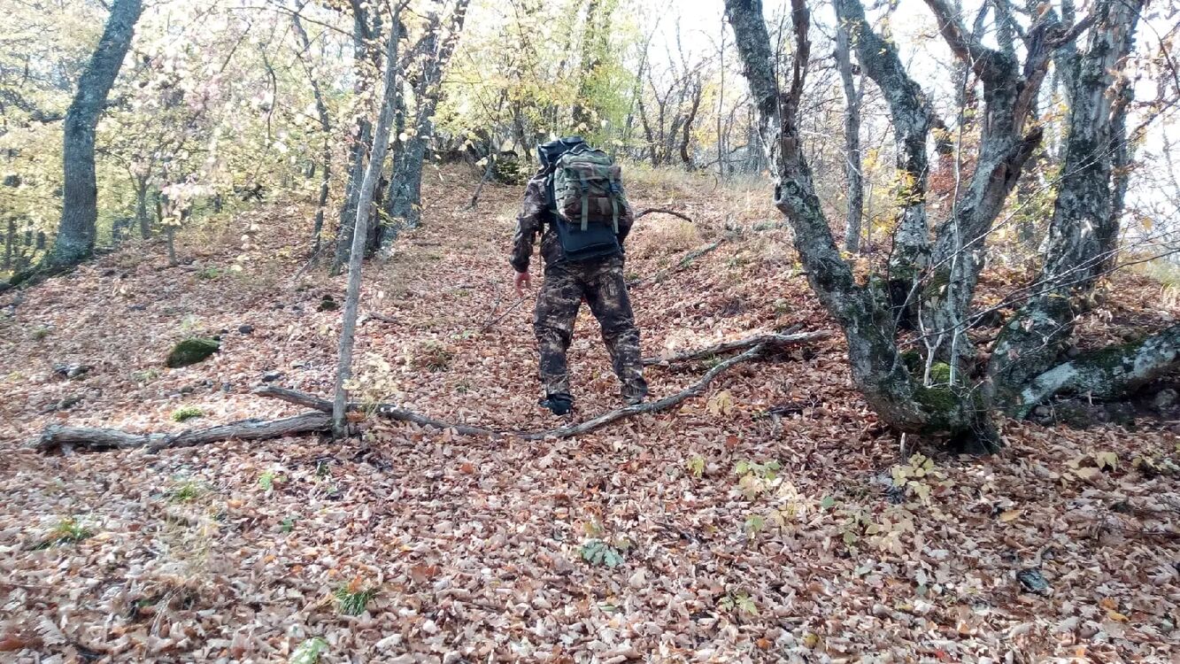 ���������� �����������, ���� ������� ������, 38 ���, ������������ ��� ������, ����� � ���������, c�������� ���������, ���������