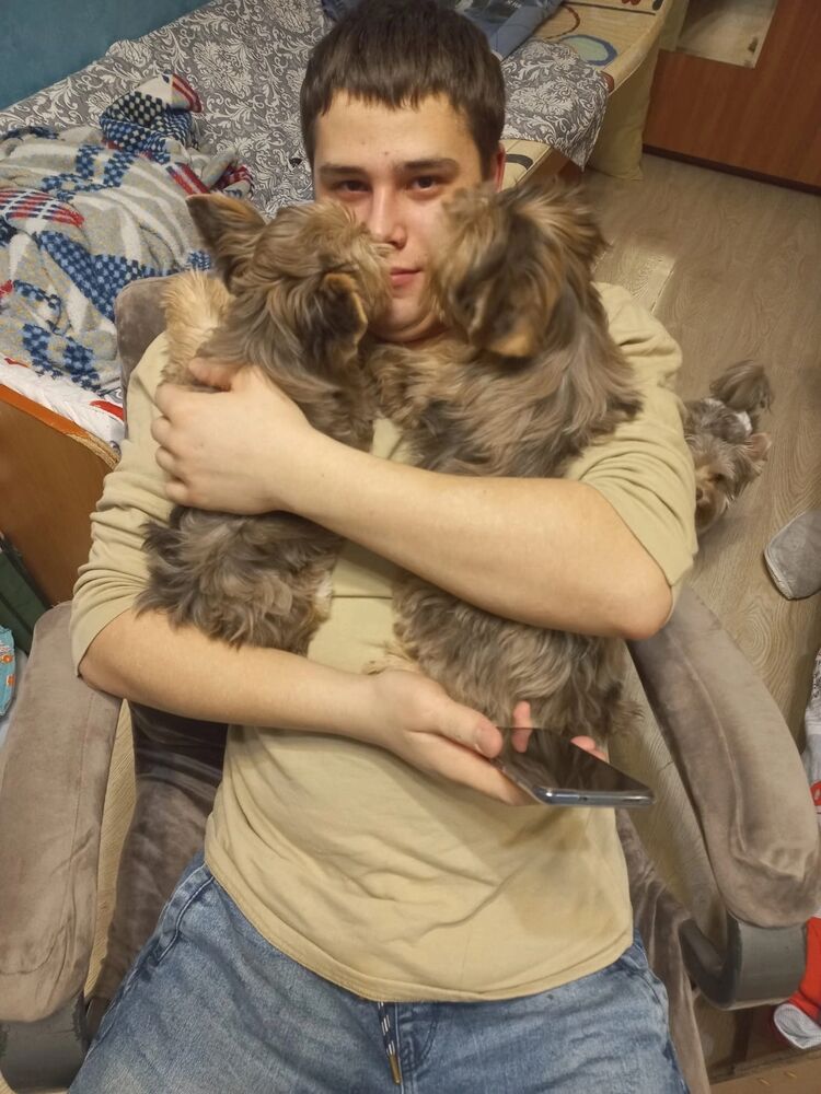 ���� 41880787 ����� �����, 22 ����, ���� ���������� � ���