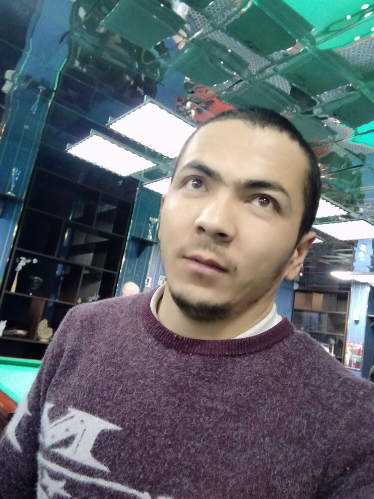 ���� 42101147 ������� ��������, 33 ����, ���� ���������� � ����