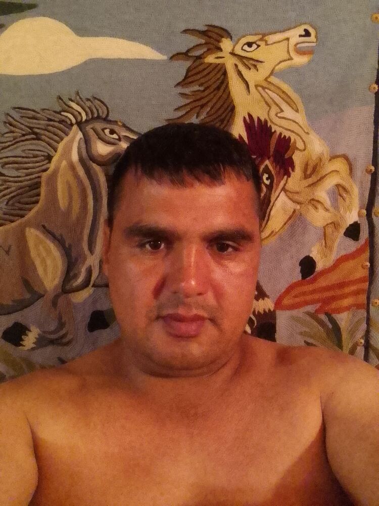 ���� 43786477 ������� ��������, 38 ���, ���� ���������� � �����-����������