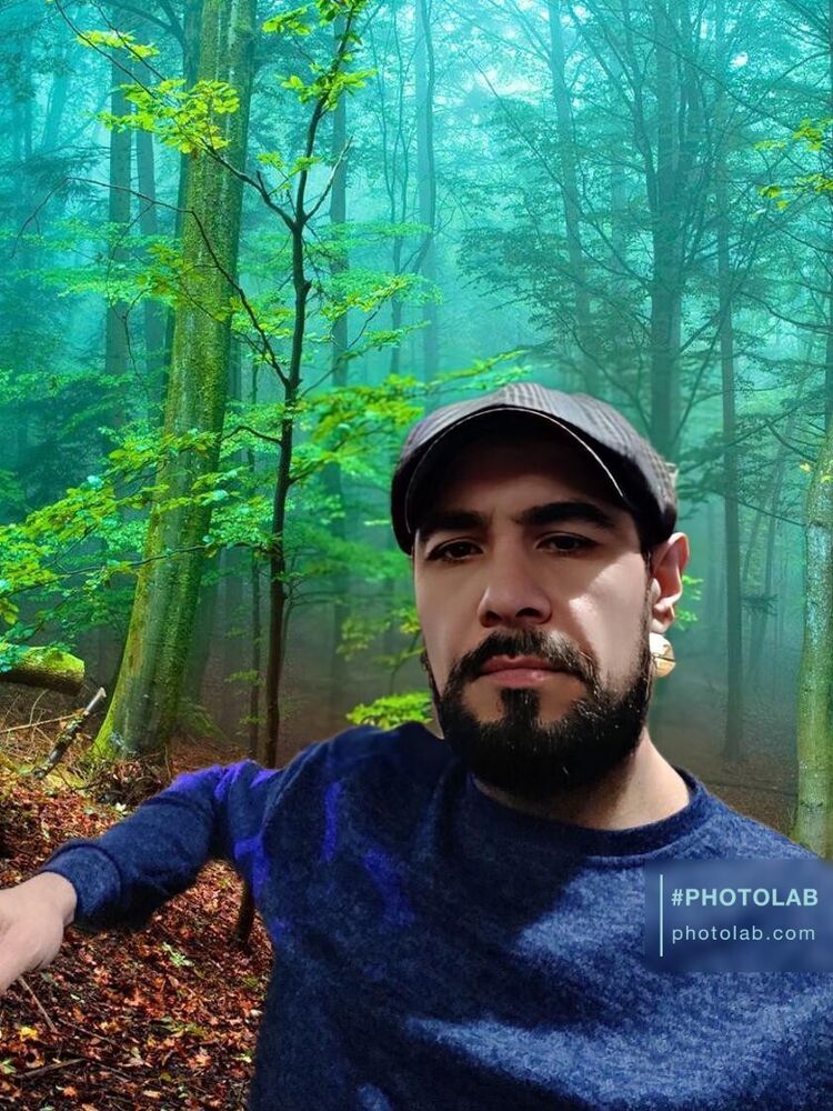  ,   , 44 ,  