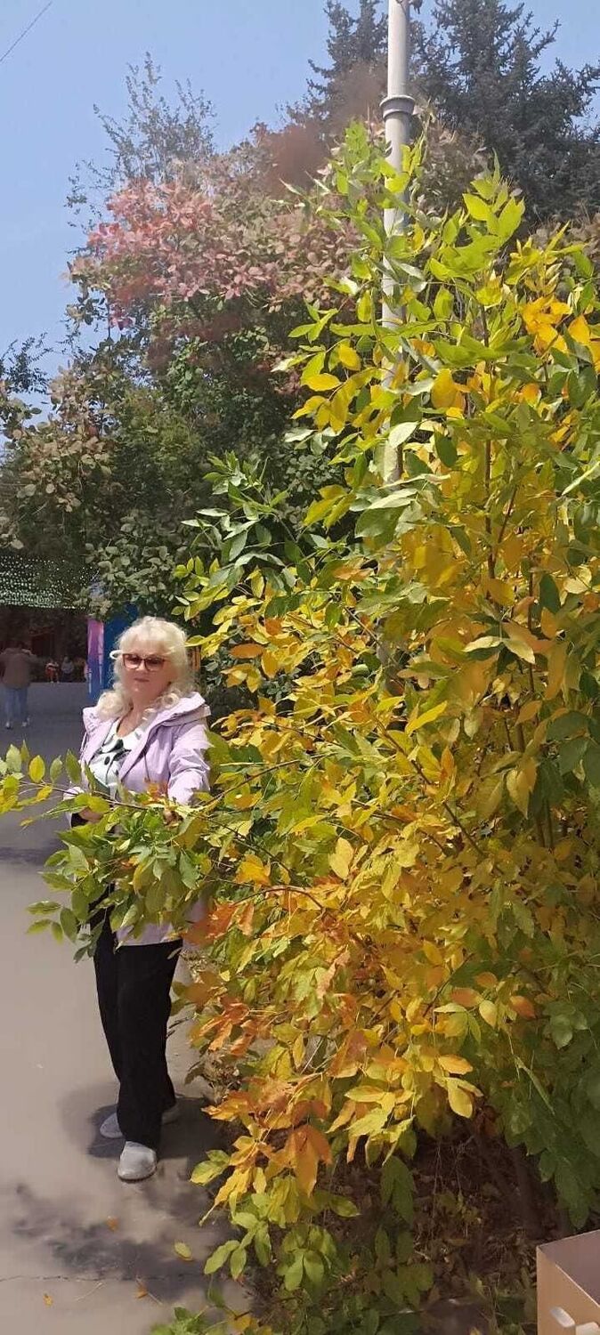  ,    , 62 ,   ,   , c , 