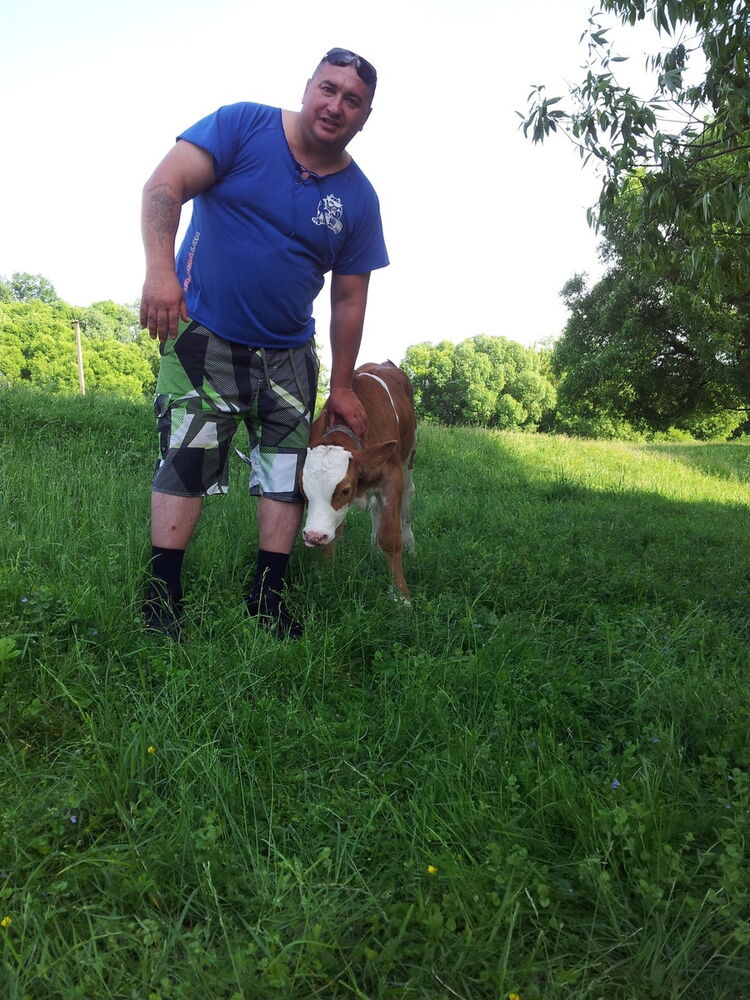 ���������� �����, ���� ������� �����, 51 ���, ������������ ��� ������