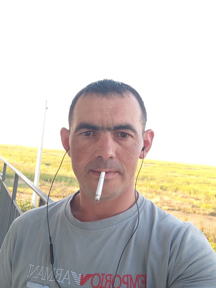  43887537  , 36 ,    