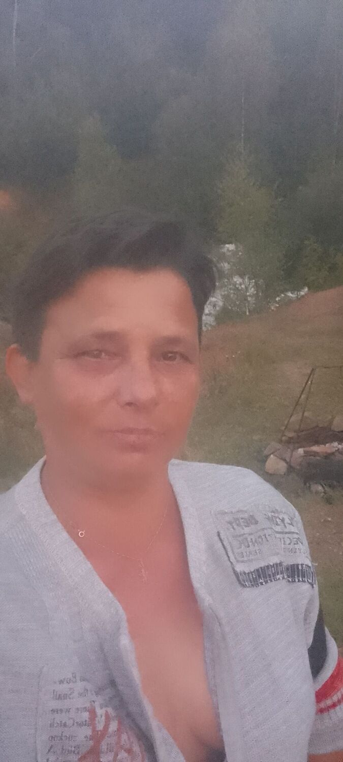  53173597  , 43 ,    