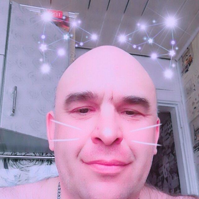  35474187  , 44 ,    